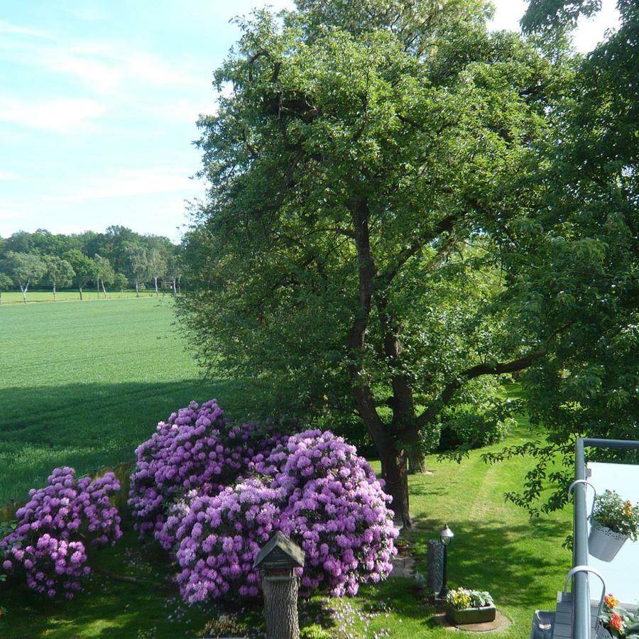 Gaestewohnung Am Grinderwald Neustadt am Rübenberge Buitenkant foto